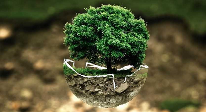 Protection of The Environment